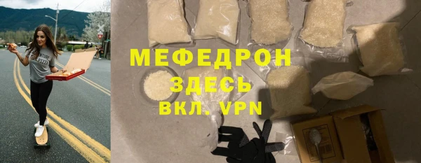 индика Гусь-Хрустальный