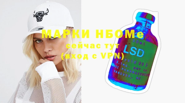 индика Гусь-Хрустальный