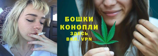 индика Гусь-Хрустальный