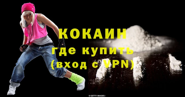 индика Гусь-Хрустальный