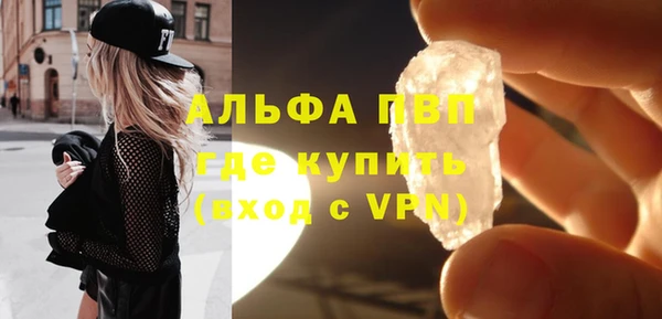 индика Гусь-Хрустальный
