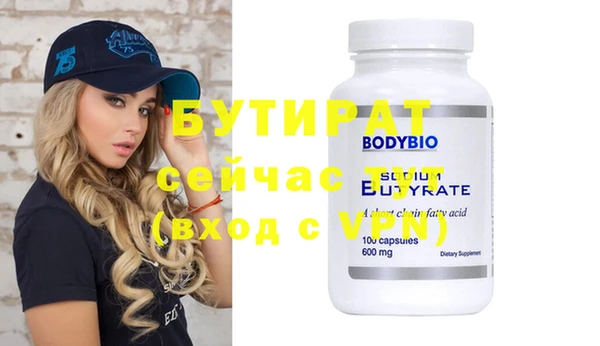 индика Гусь-Хрустальный