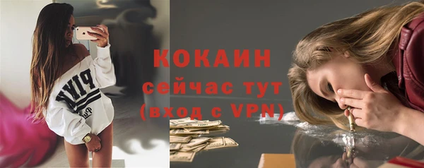 индика Гусь-Хрустальный