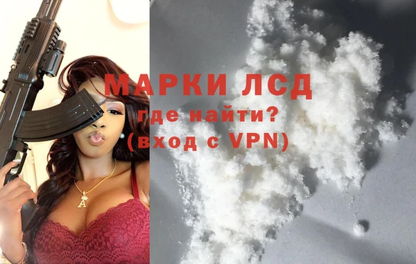 индика Гусь-Хрустальный