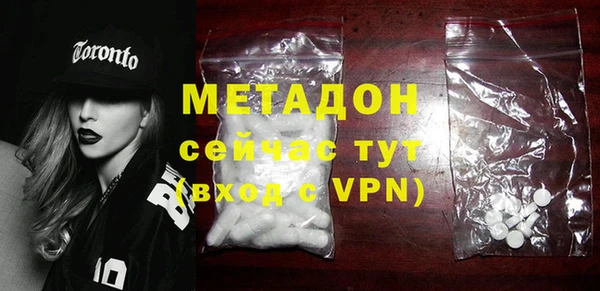 индика Гусь-Хрустальный