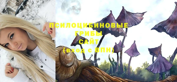 индика Гусь-Хрустальный
