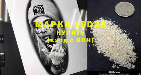 индика Гусь-Хрустальный