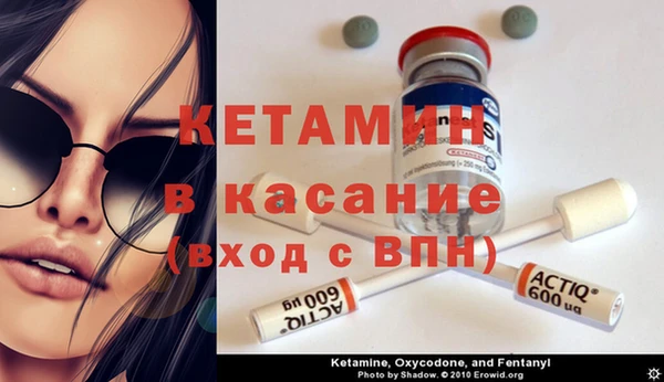 индика Гусь-Хрустальный