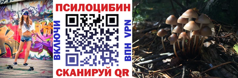 Купить где  Кадников  Псилоцибиновые грибы ЛСД 