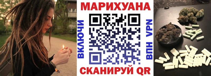 Конопля SATIVA & INDICA  Купить закладки  Кадников 